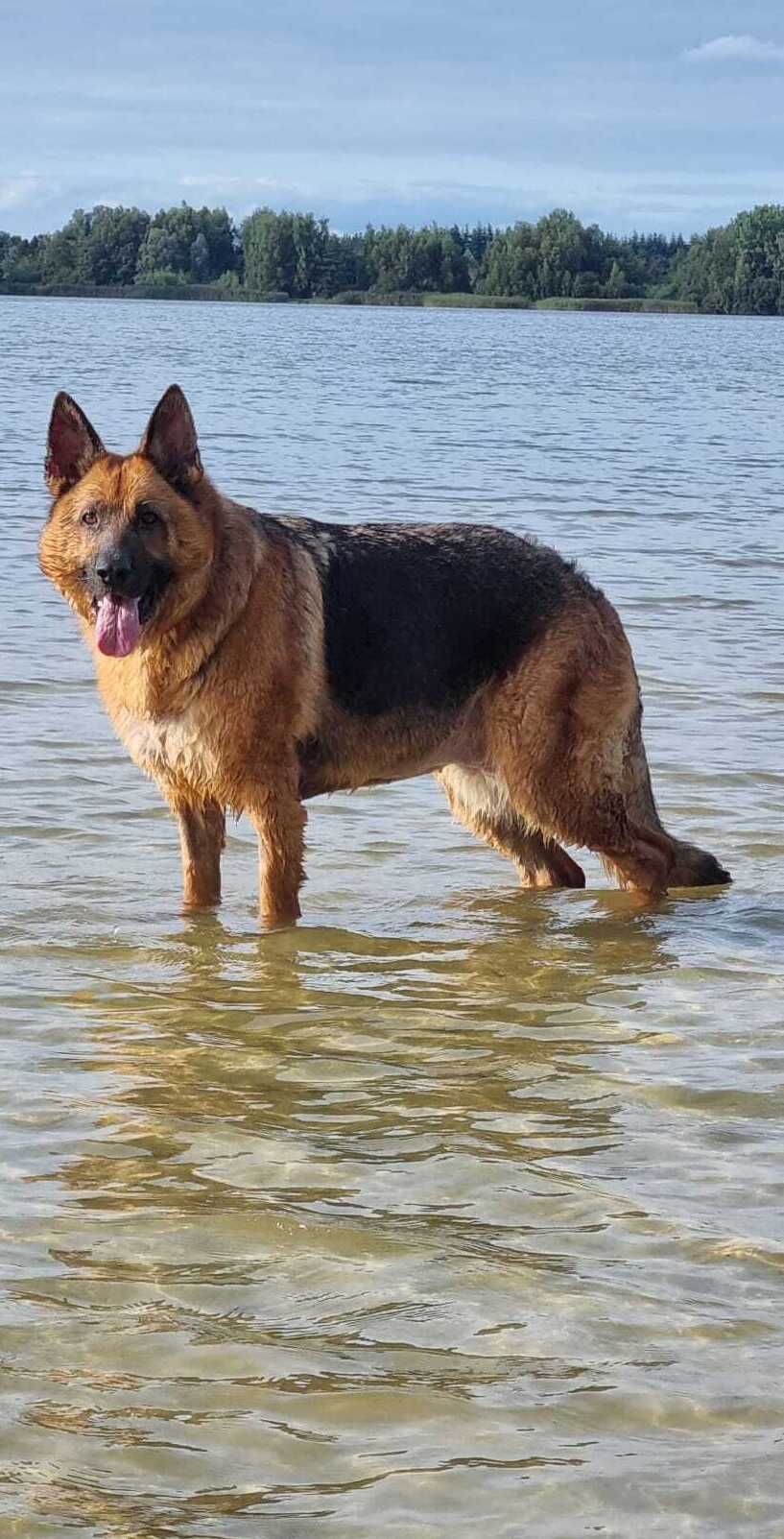 Na het voedingsadvies