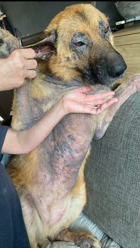 Voor het voedingsadvies