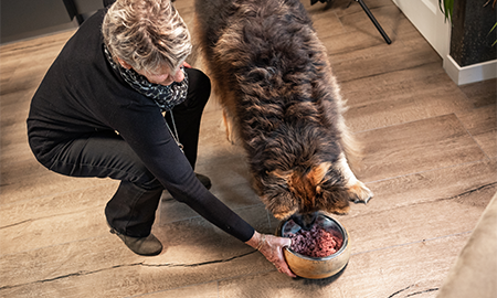 Duitse Herder die Farm Food Fresh krijgt