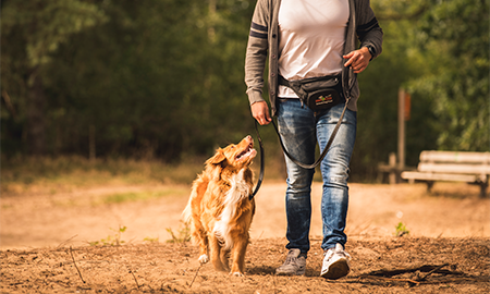 Baasje met hond aan het wandelen